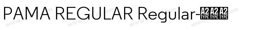 PAMA REGULAR Regular字体转换